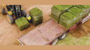 Advance Turf