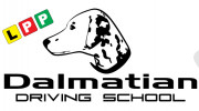 Dalmatian Driving School